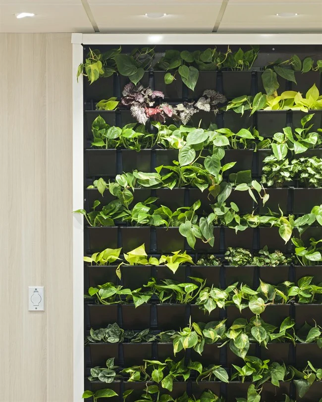 A wall with plants