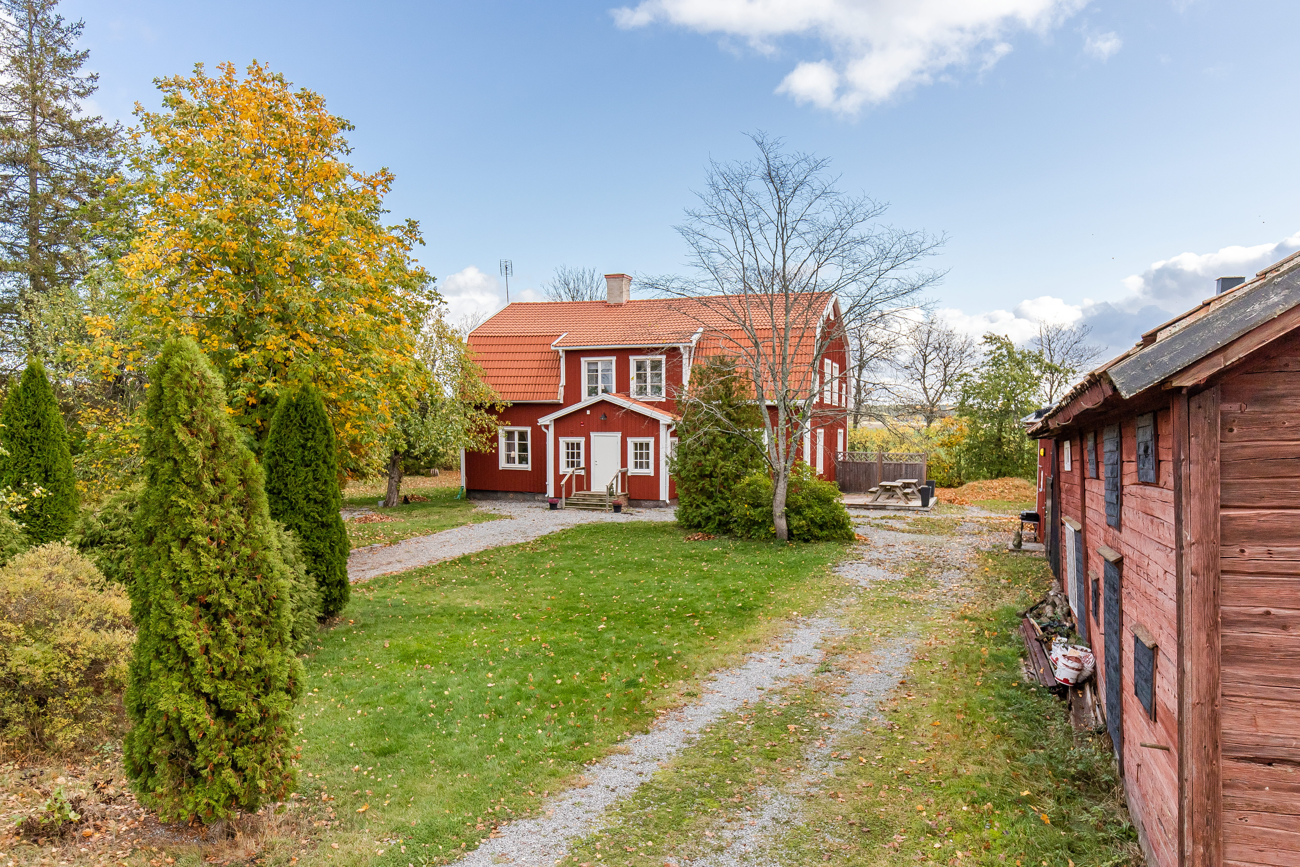 A path with trees on the side of a house