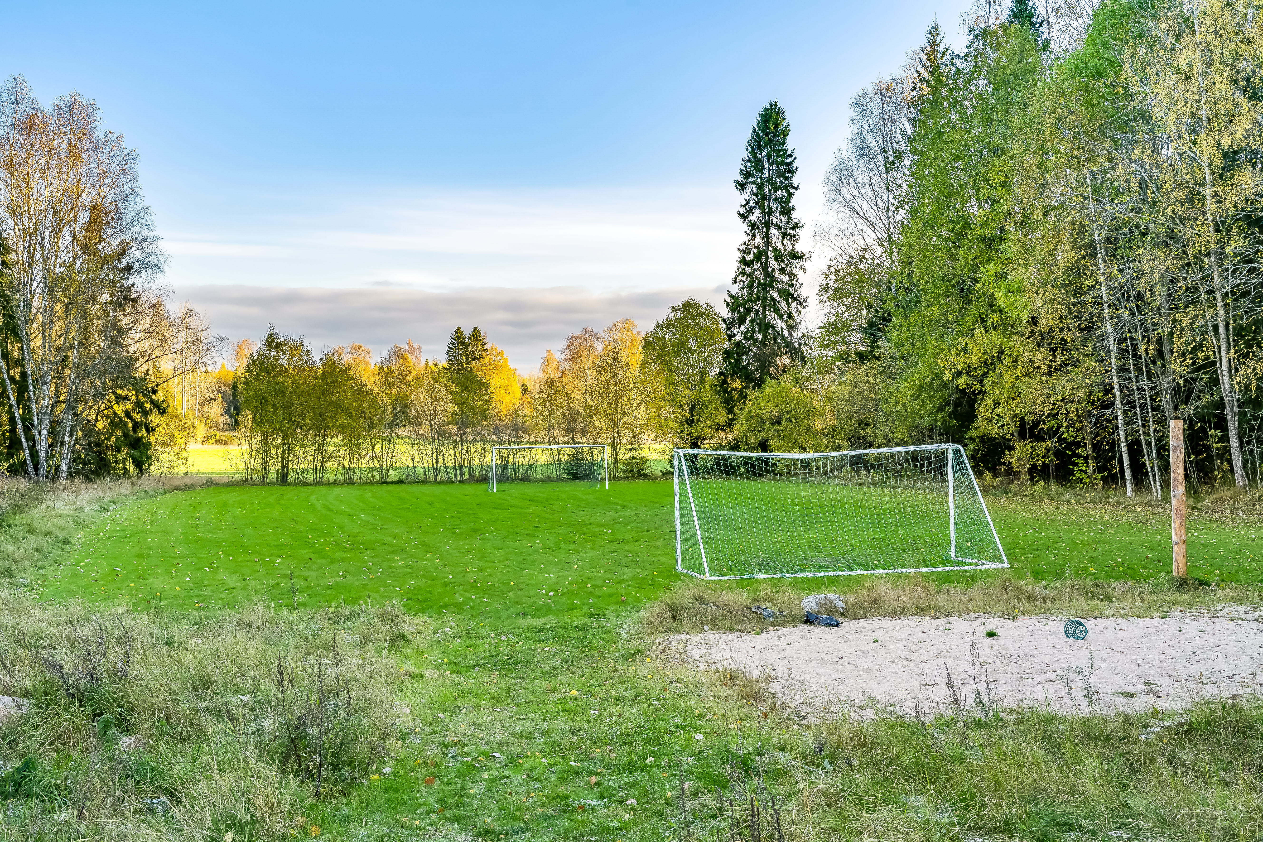 A close up of a green field with trees in the background
