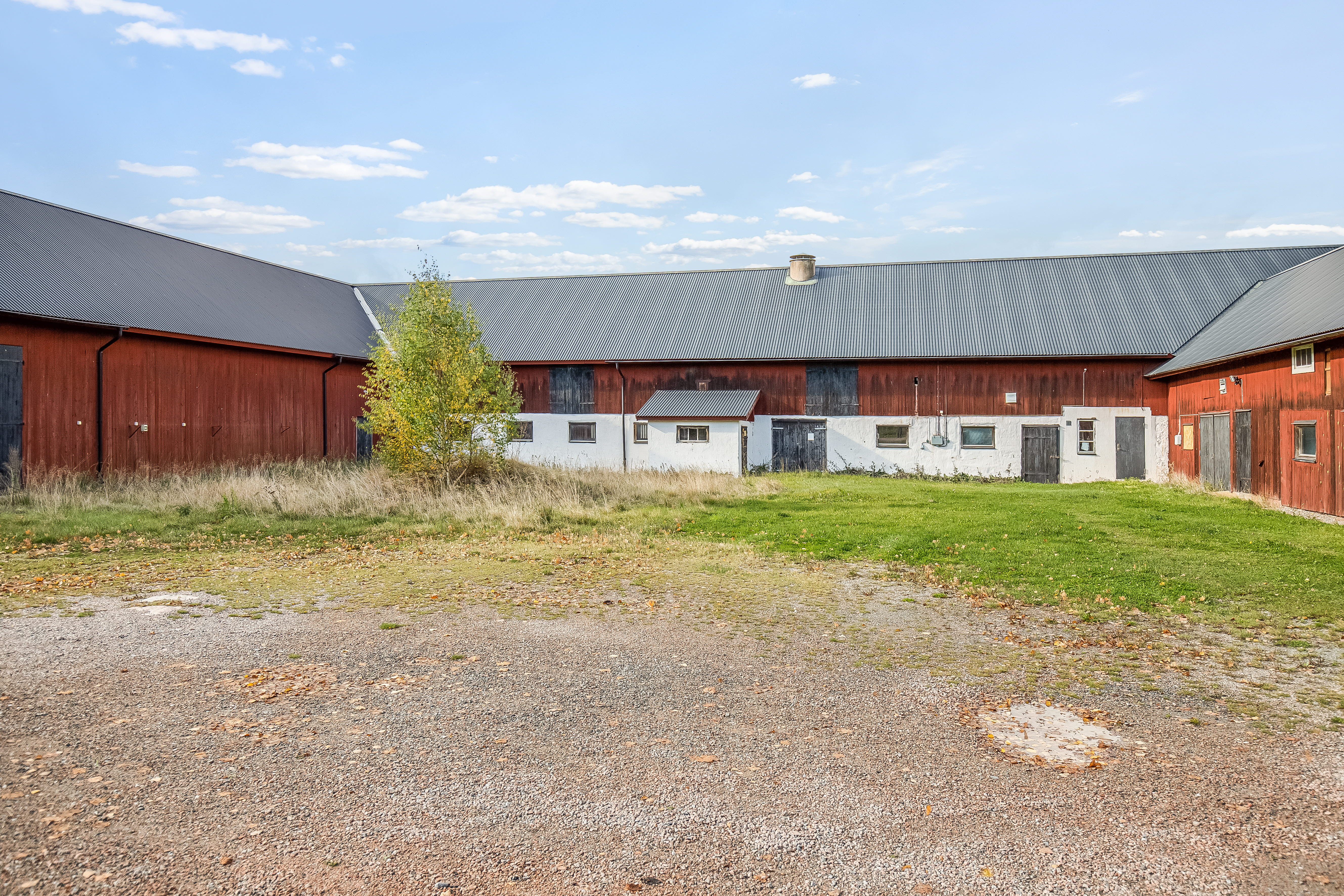 A dirt road in front of a house