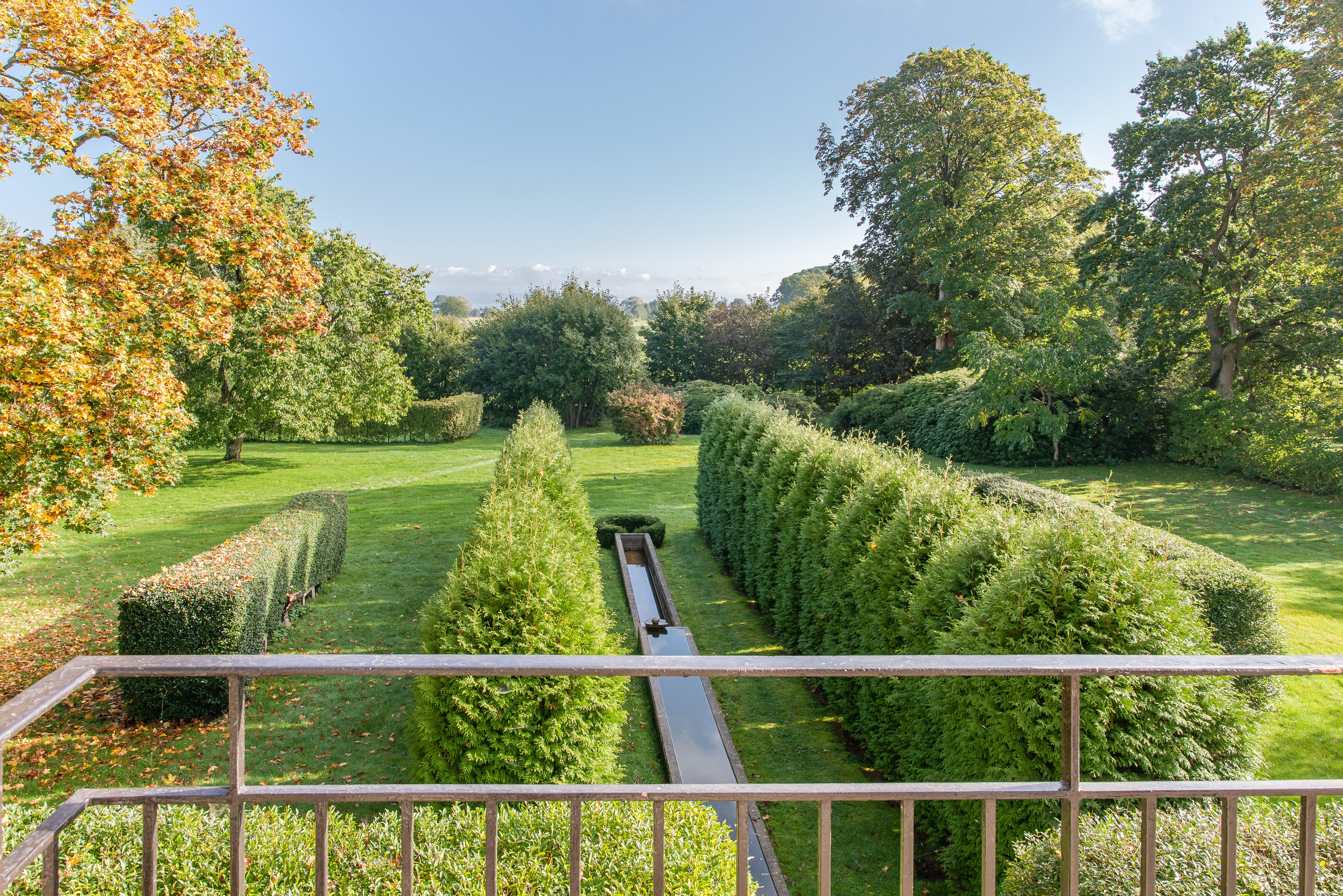 A close up of a garden