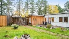 A yard with grass and trees