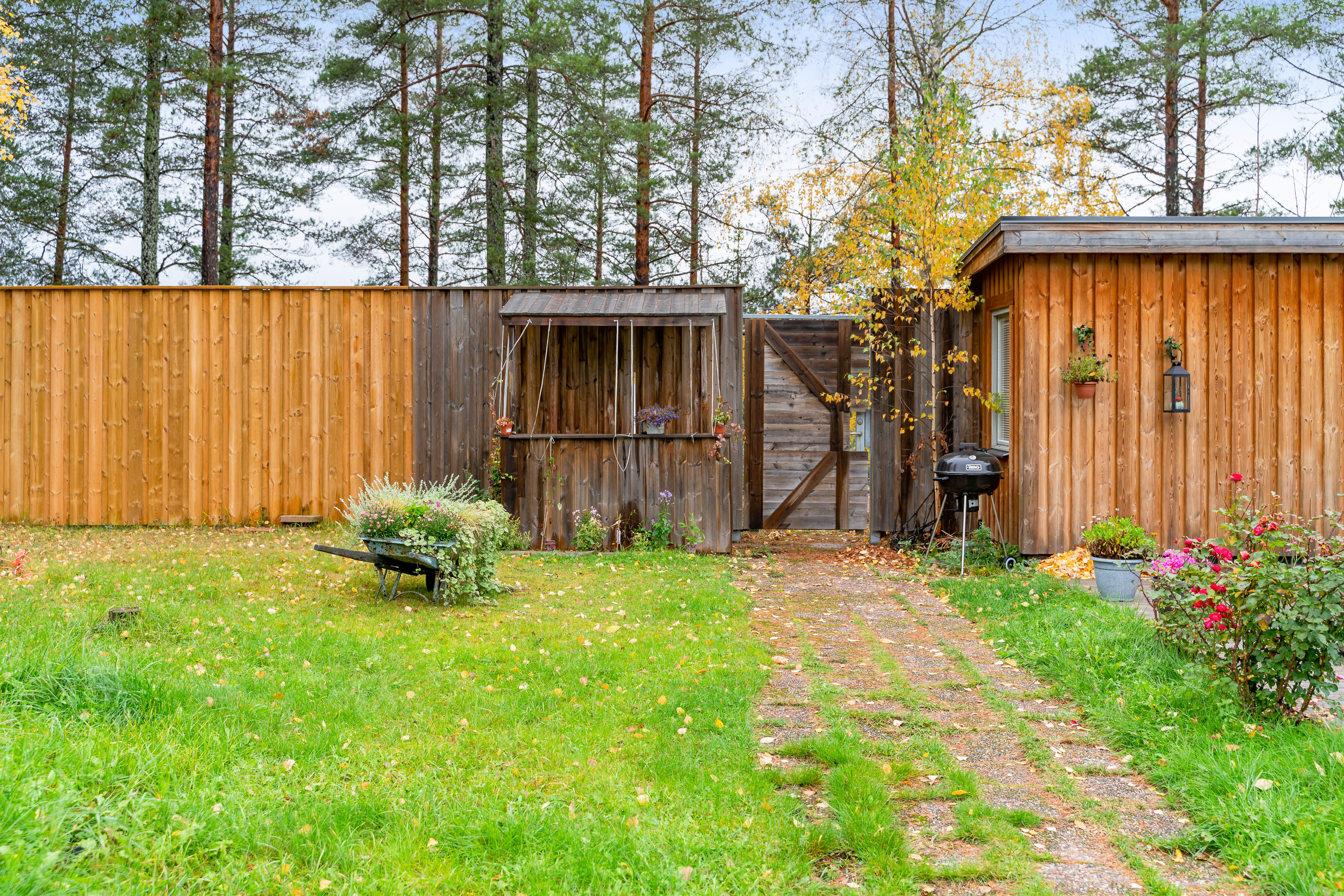 A green yard in front of a house