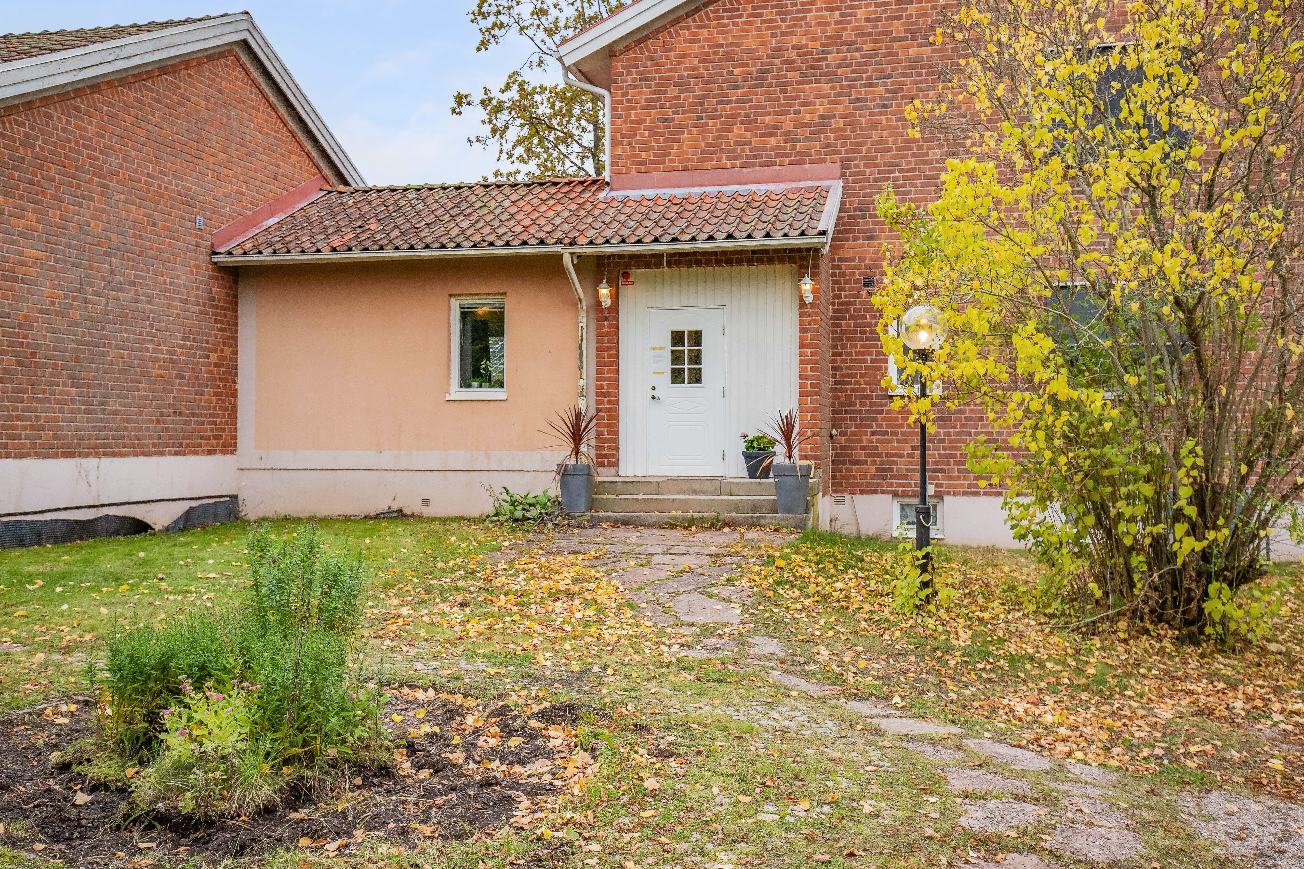 A house with trees in the front yard