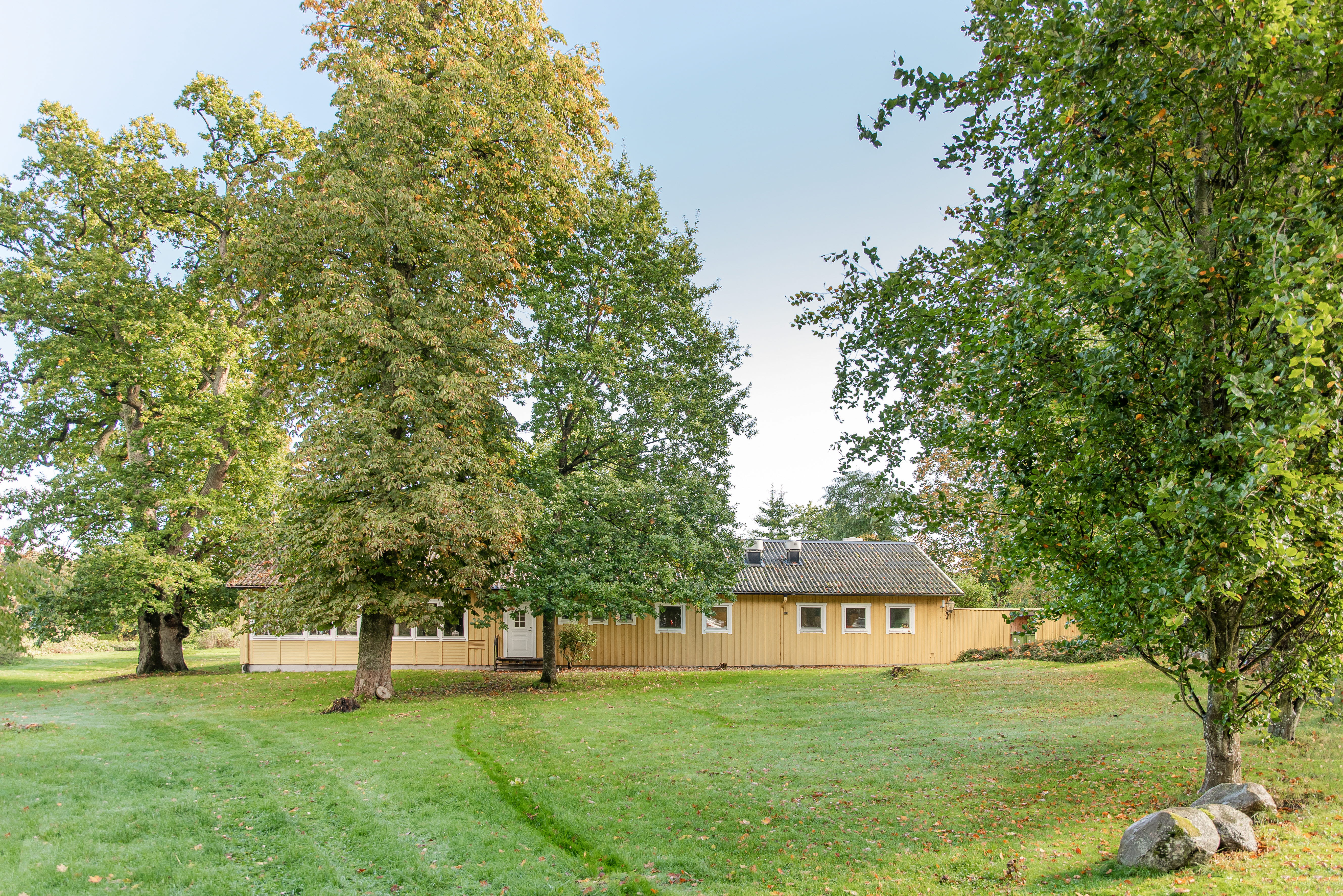 A large green field with trees in the background