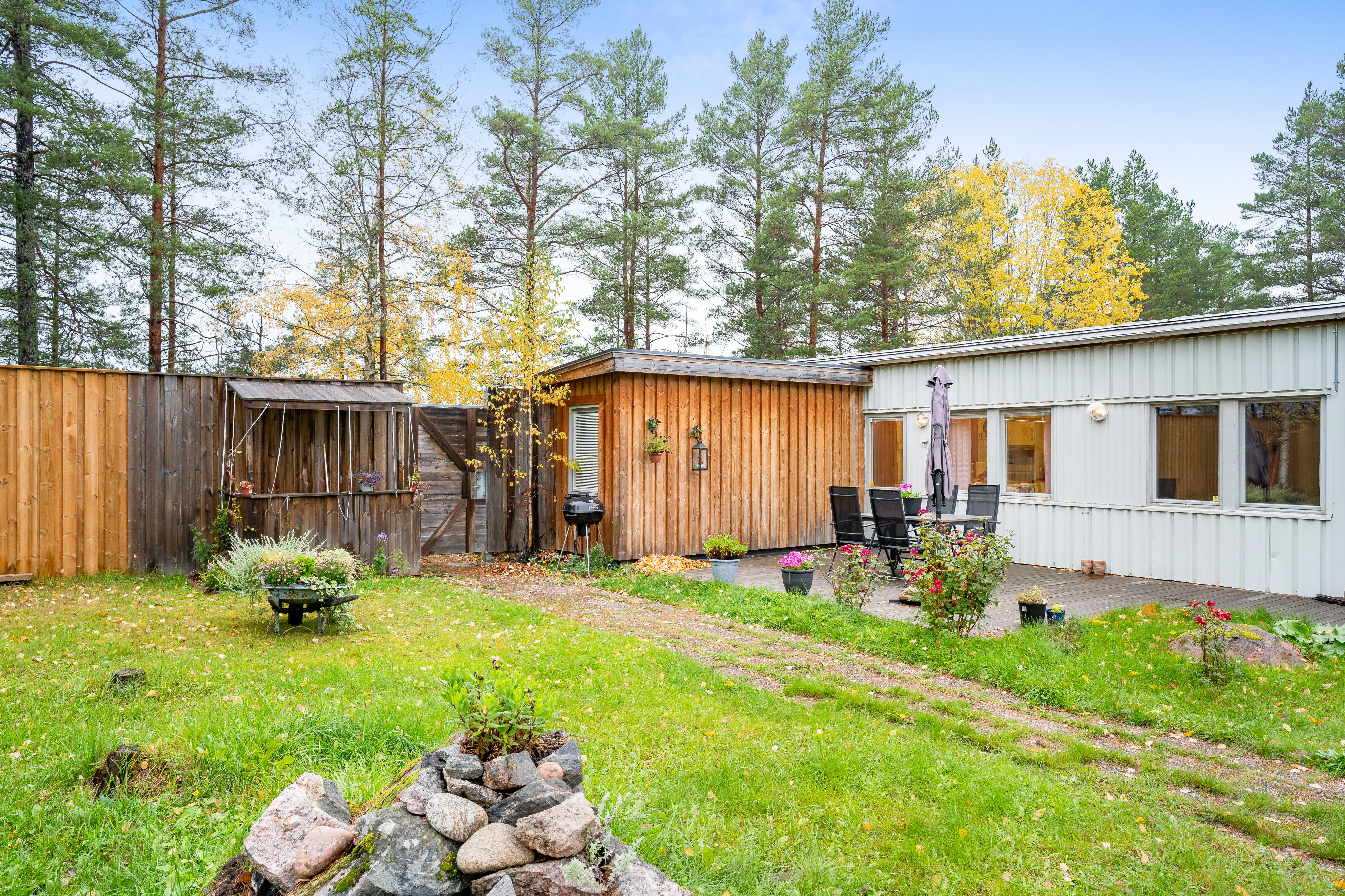A yard with grass and trees