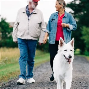 Two people and a dog go for a walk.