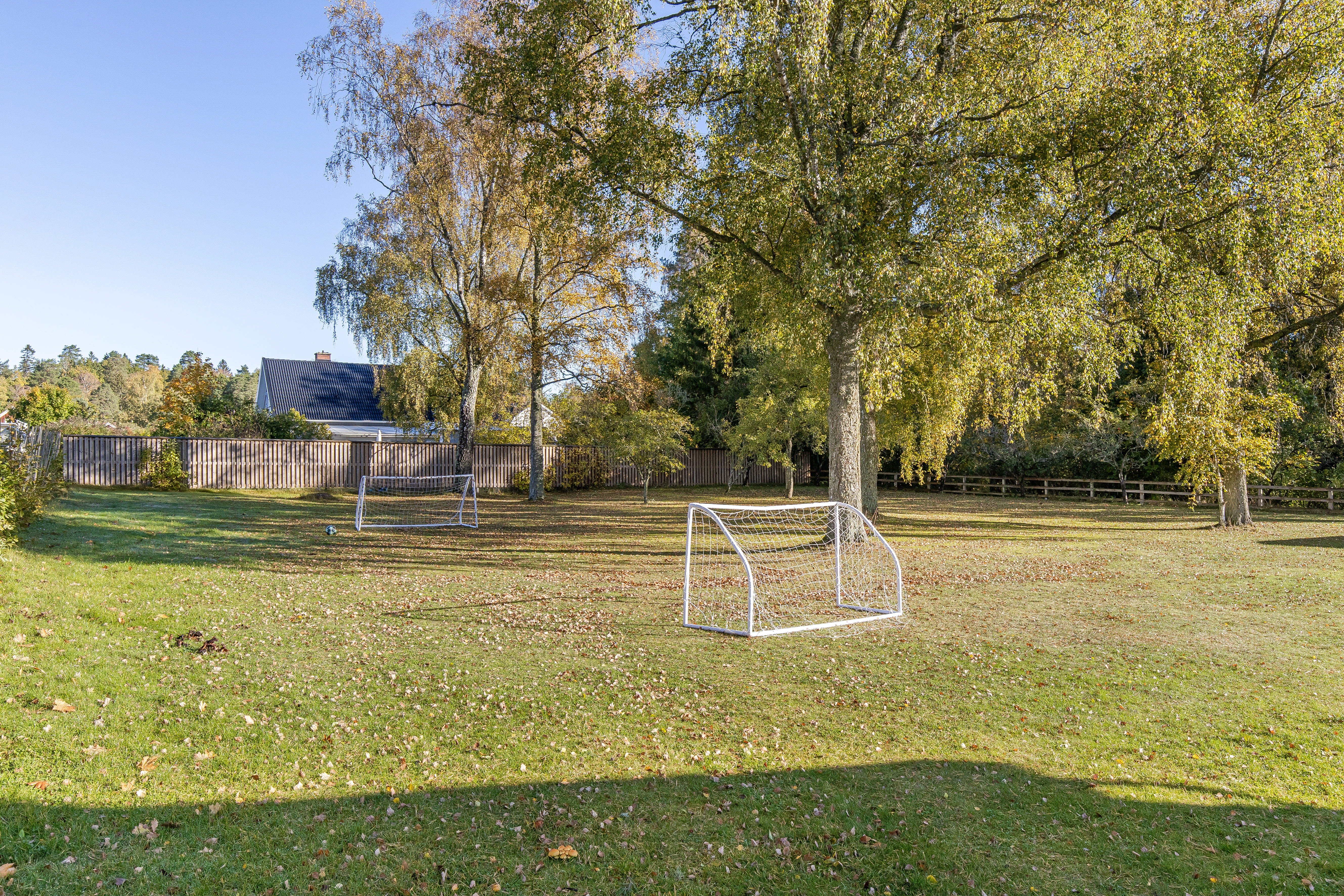A large green field with trees in the background