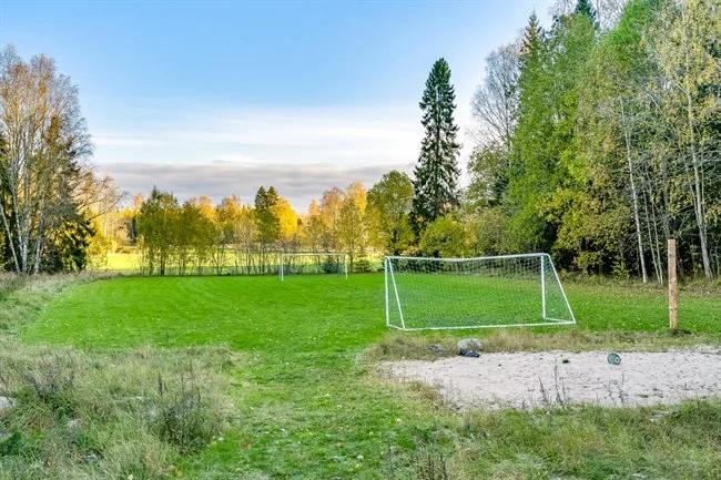A close up of a green field with trees in the background