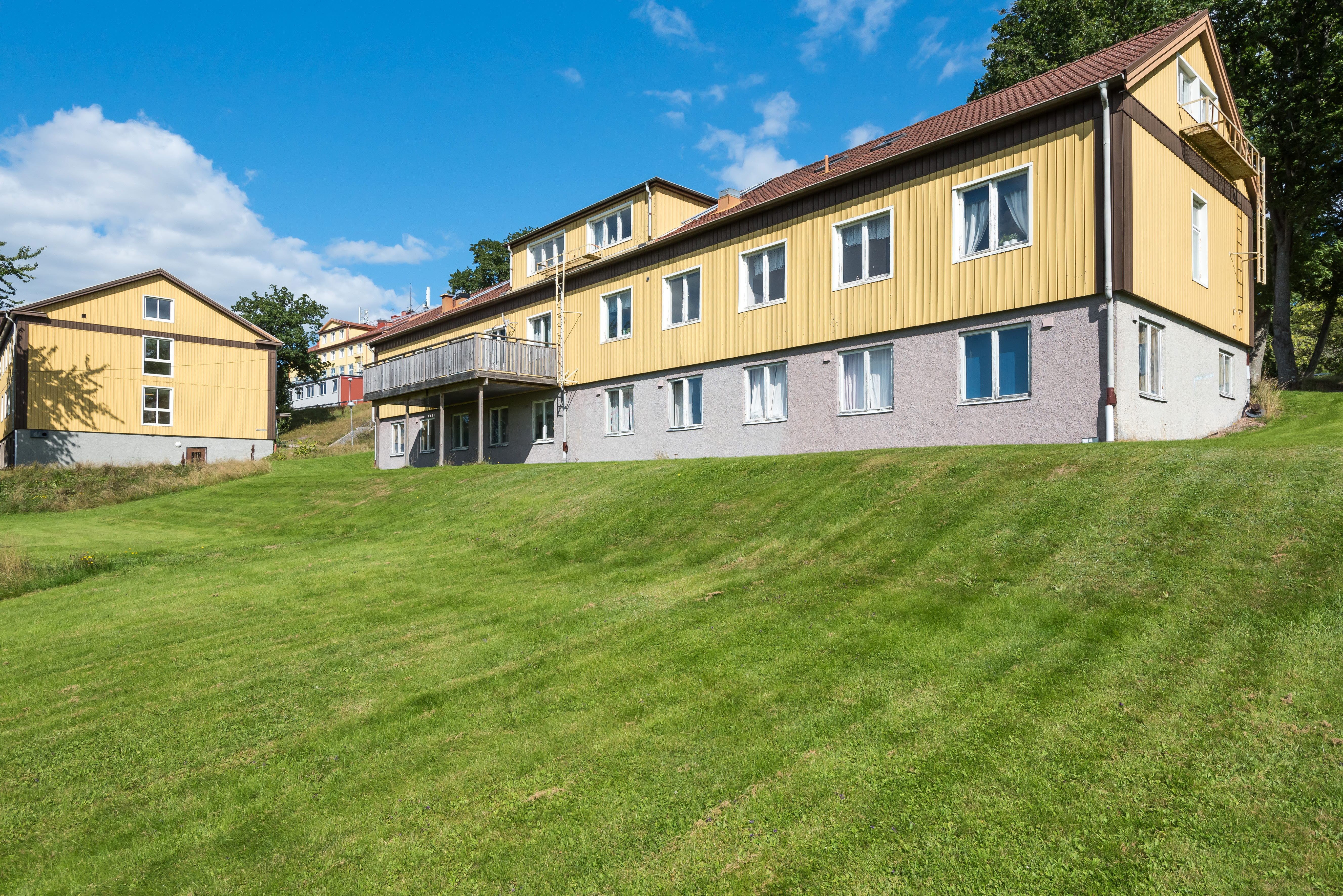 A large lawn in front of a house