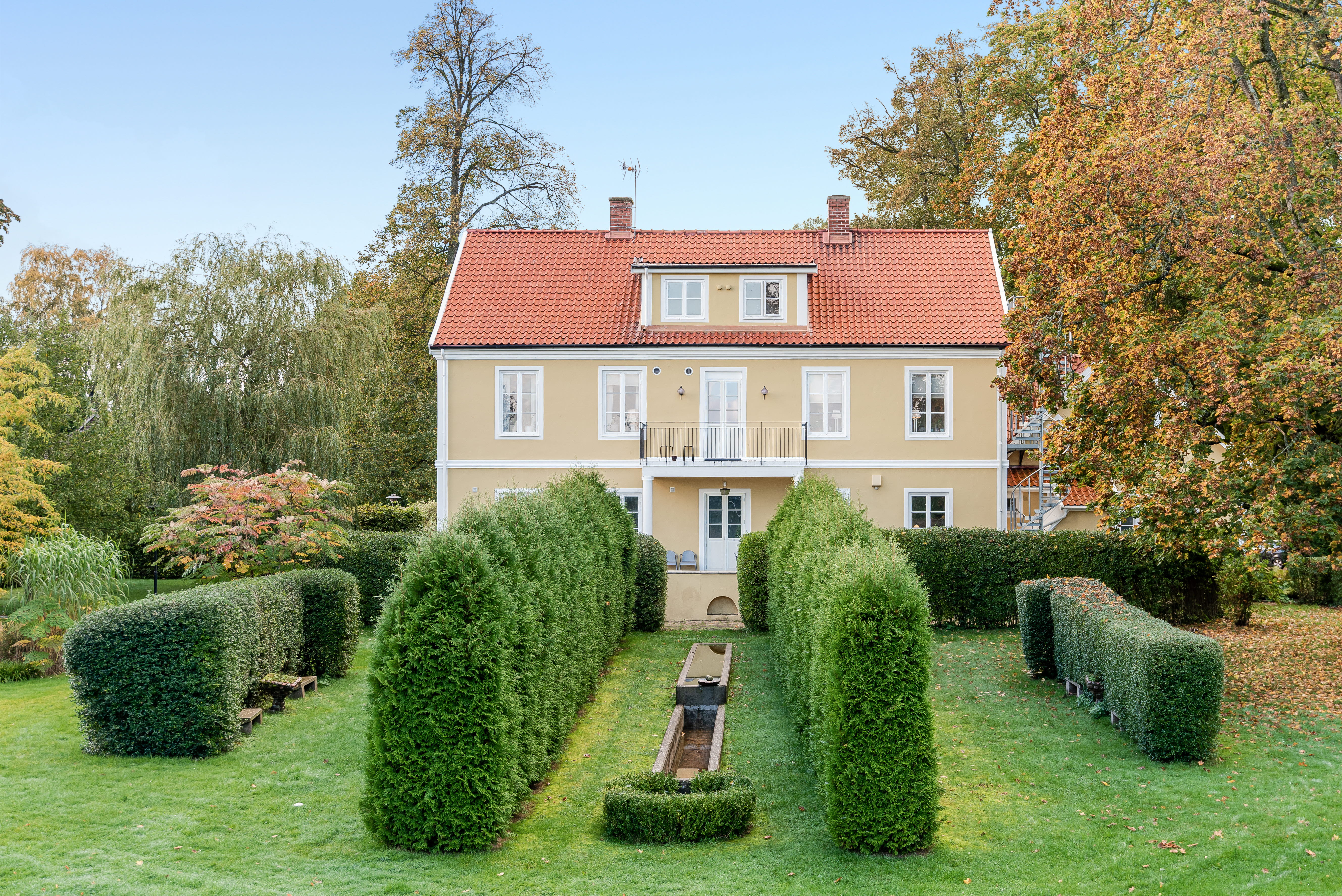 A house with a green plant in a garden