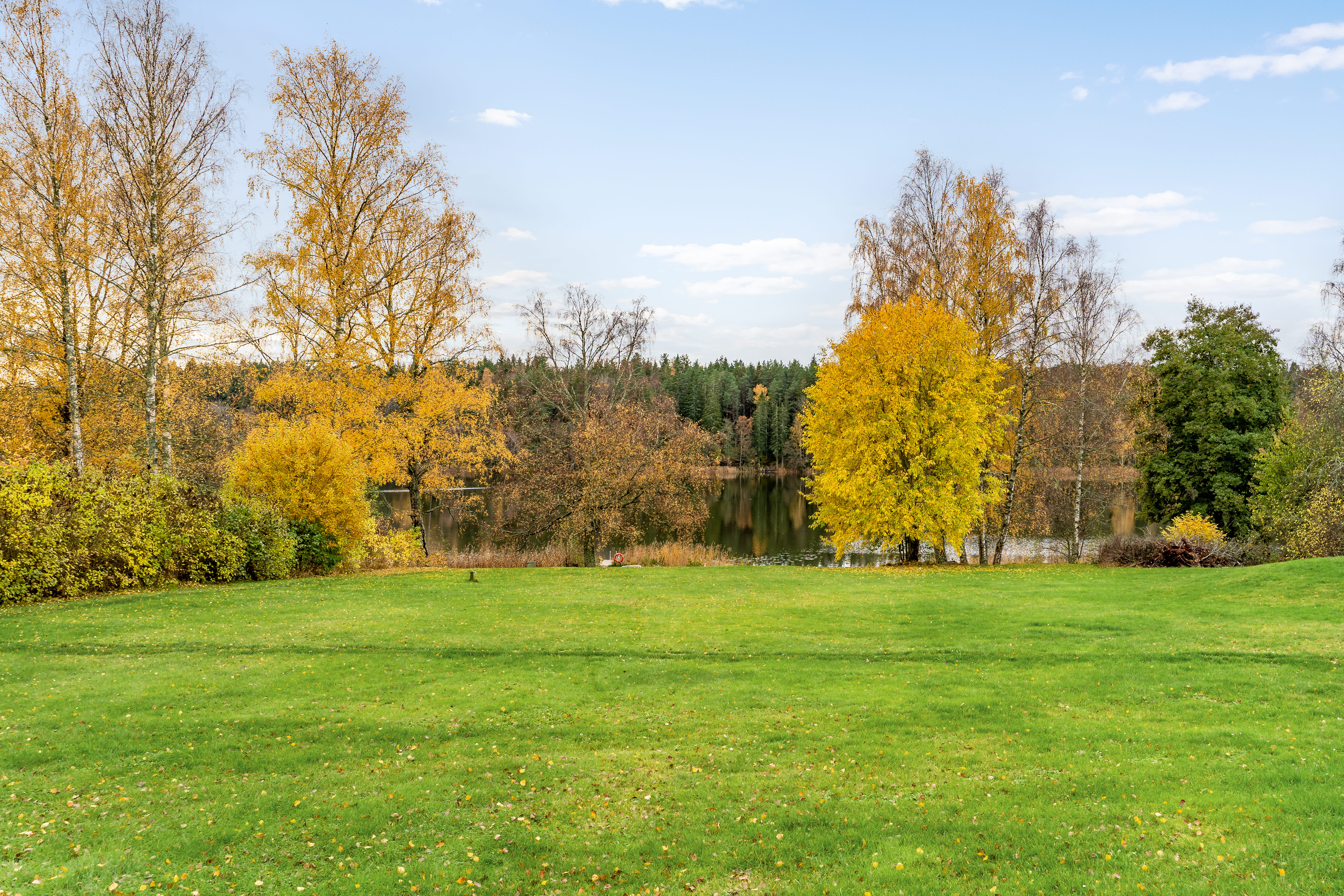 A large green field with trees in the background