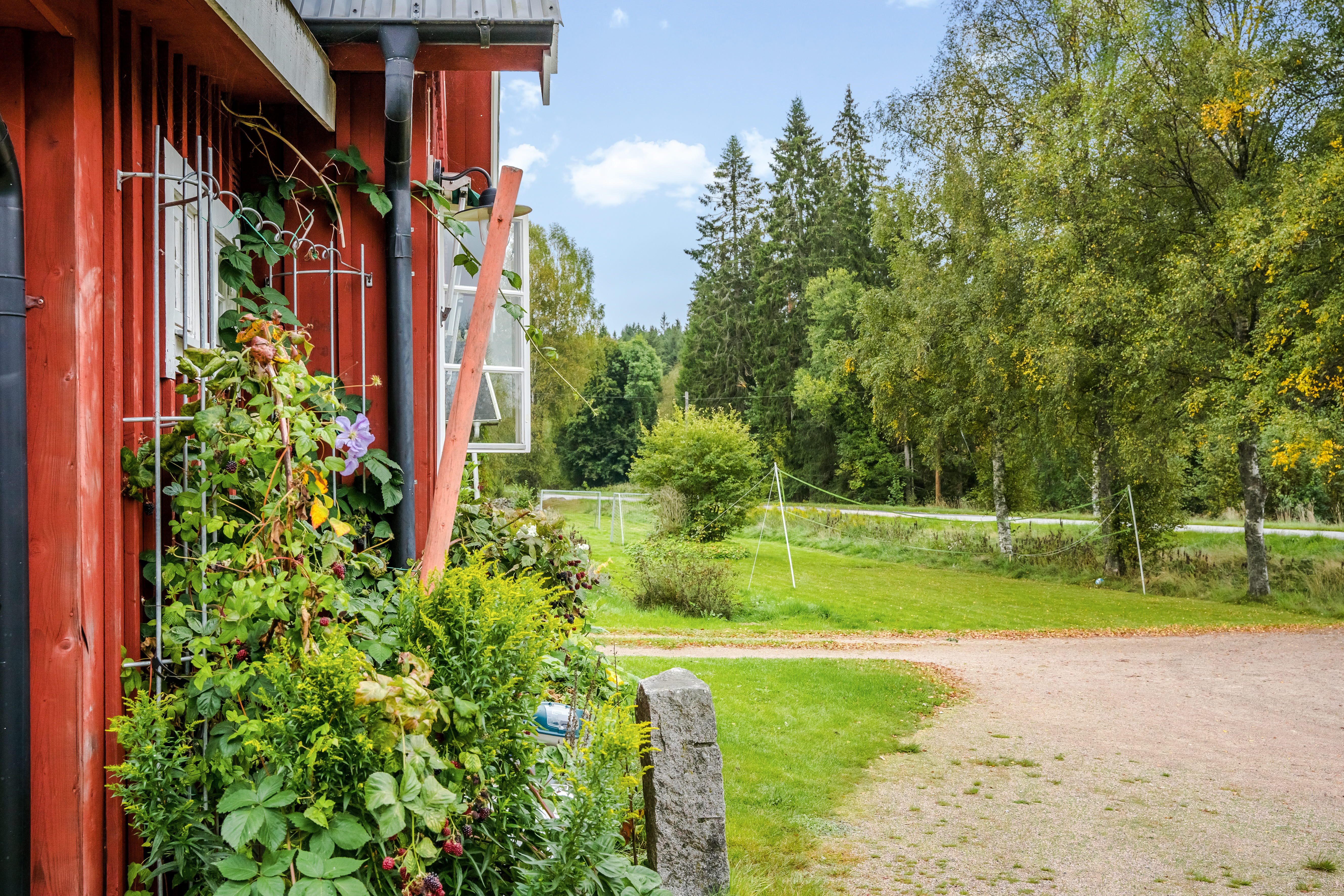 A tree in front of a house