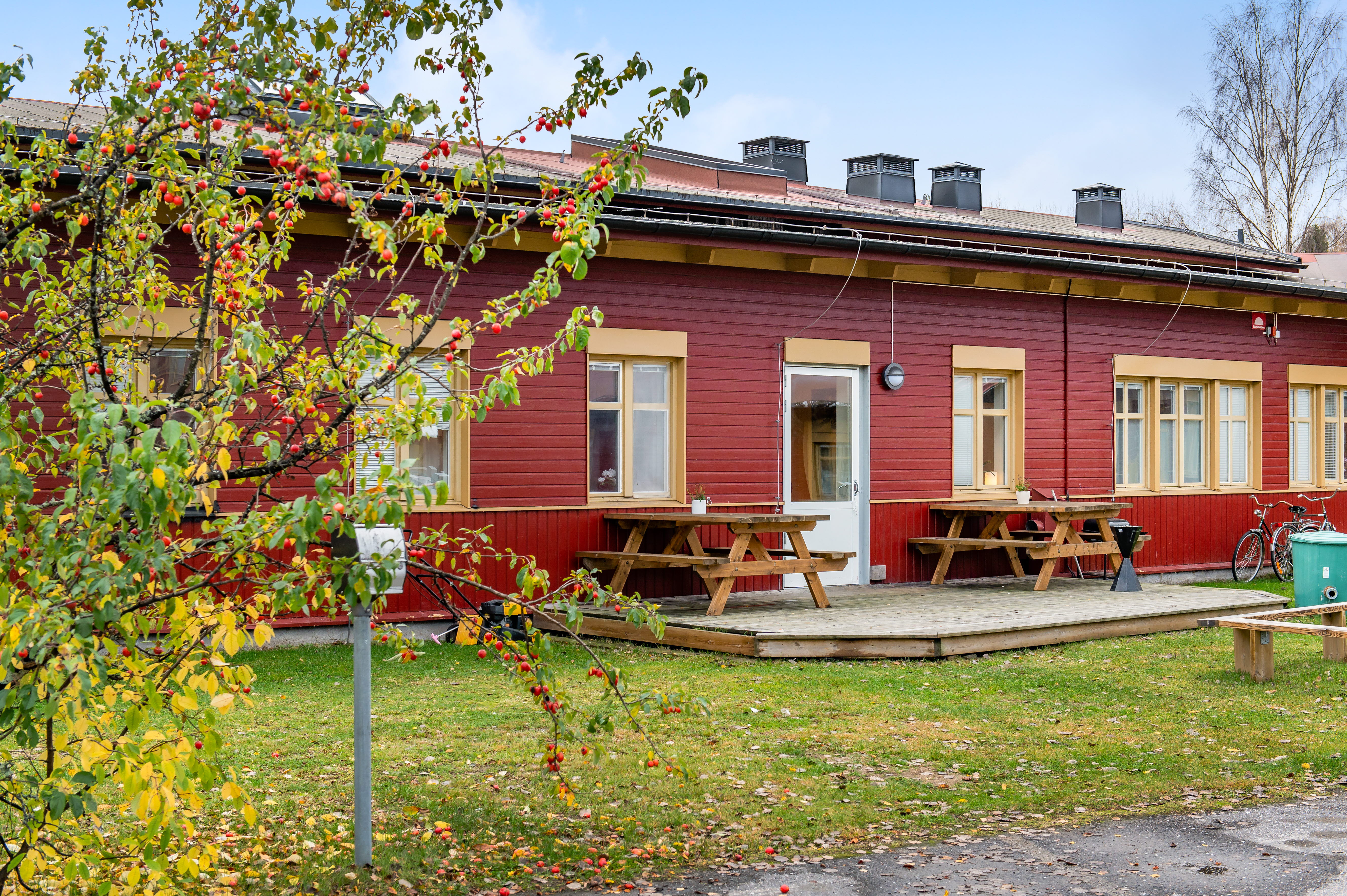 A house with trees in the front yard