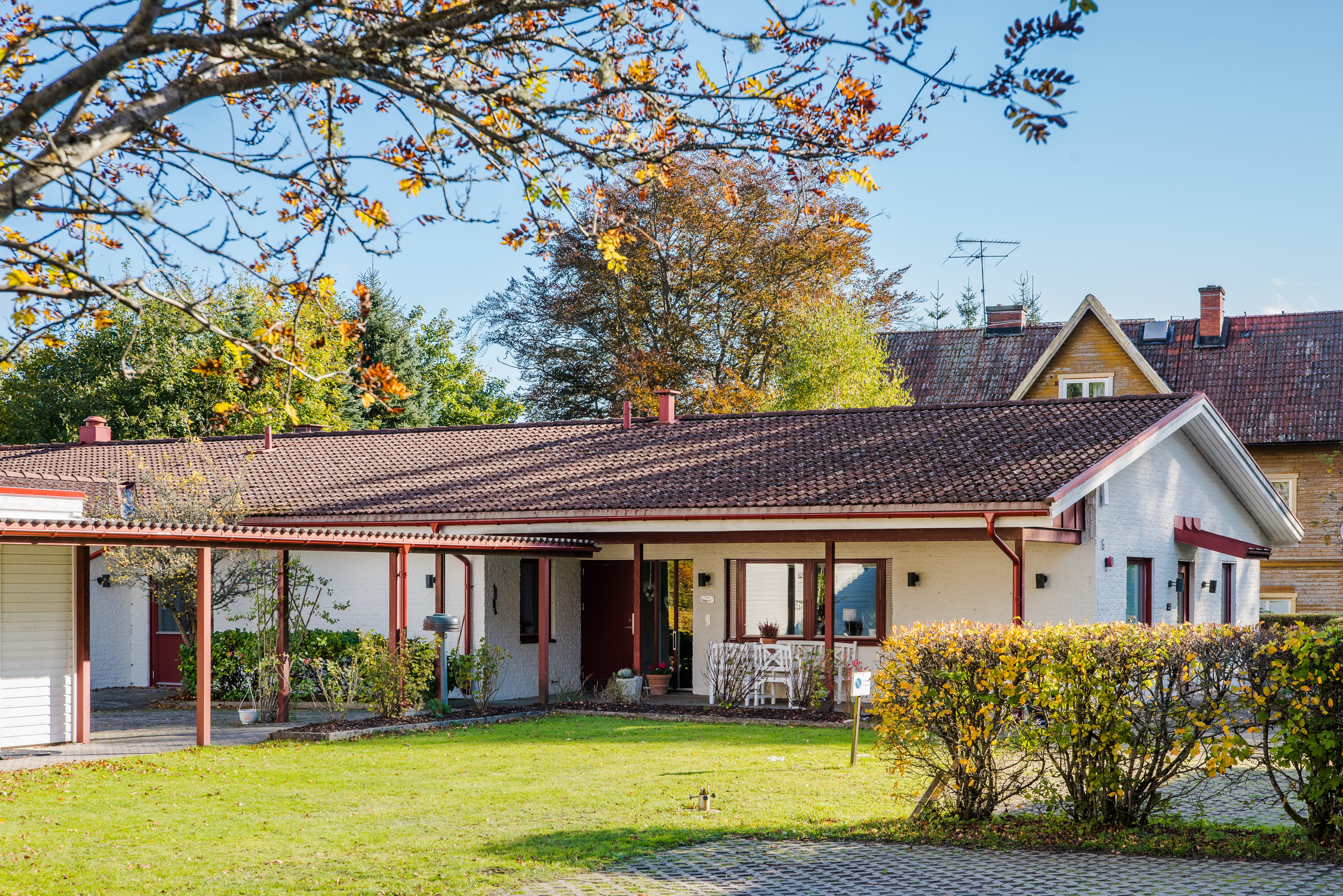 A tree in front of a house