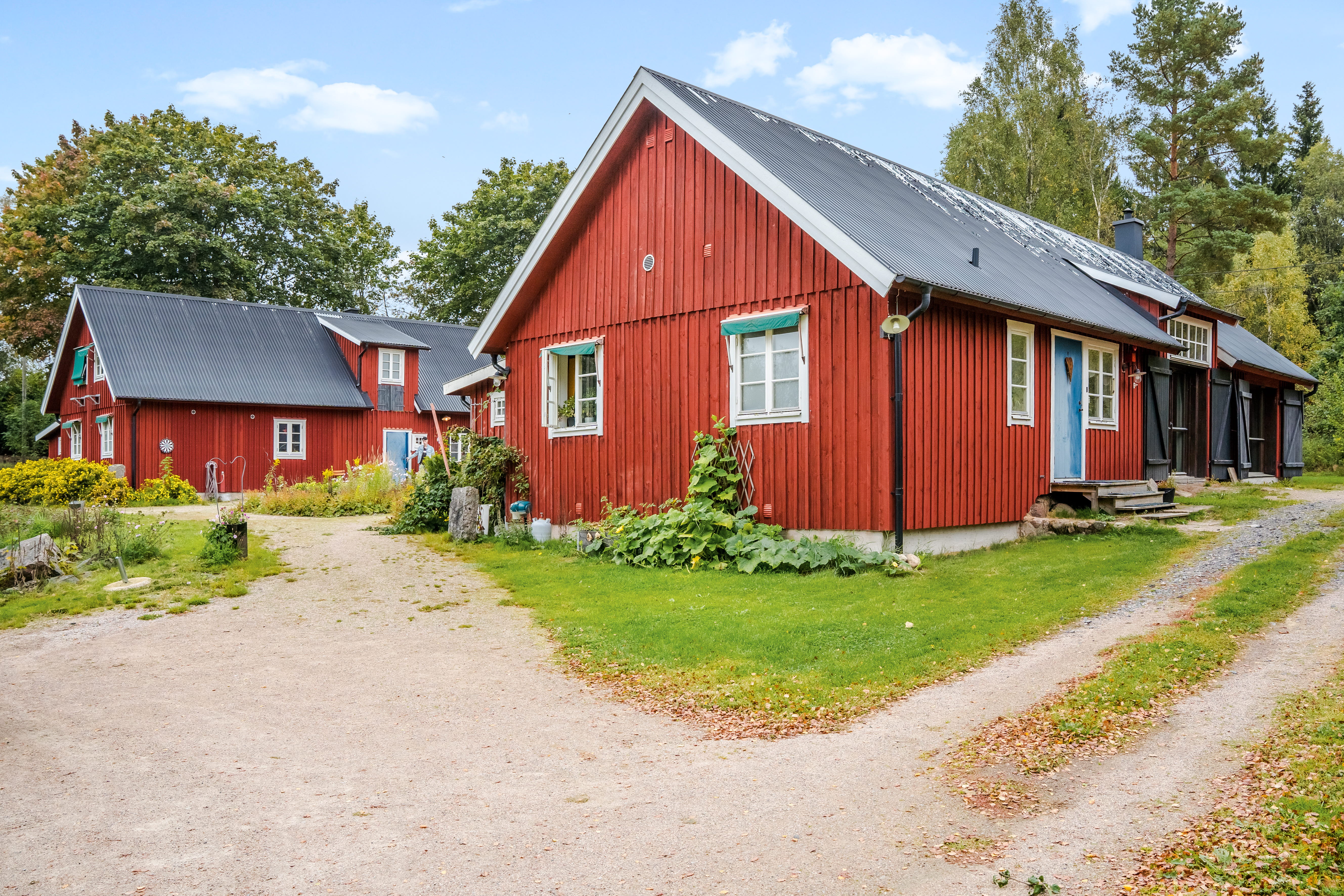 A dirt road in front of a house