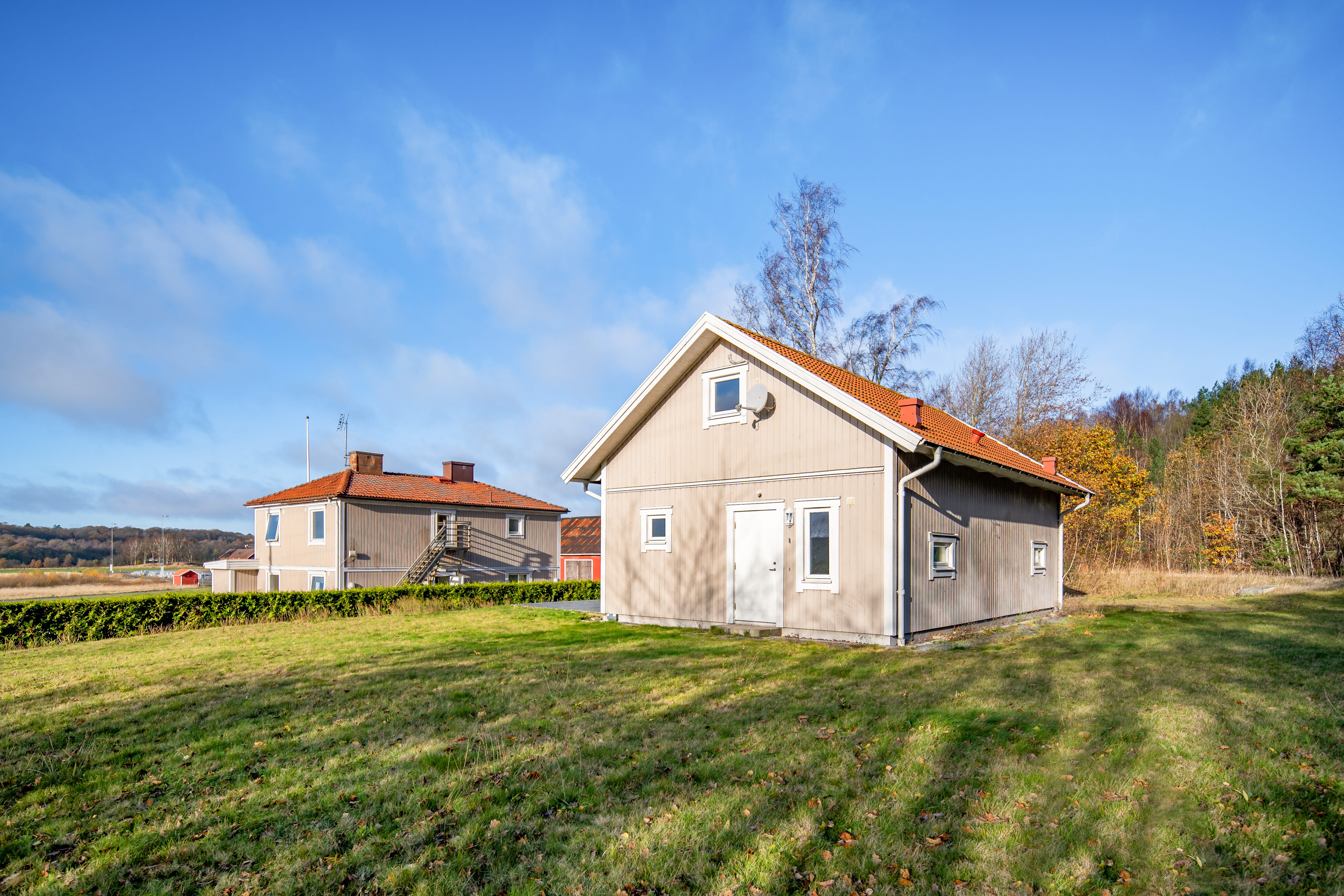 A house in the middle of a lush green field