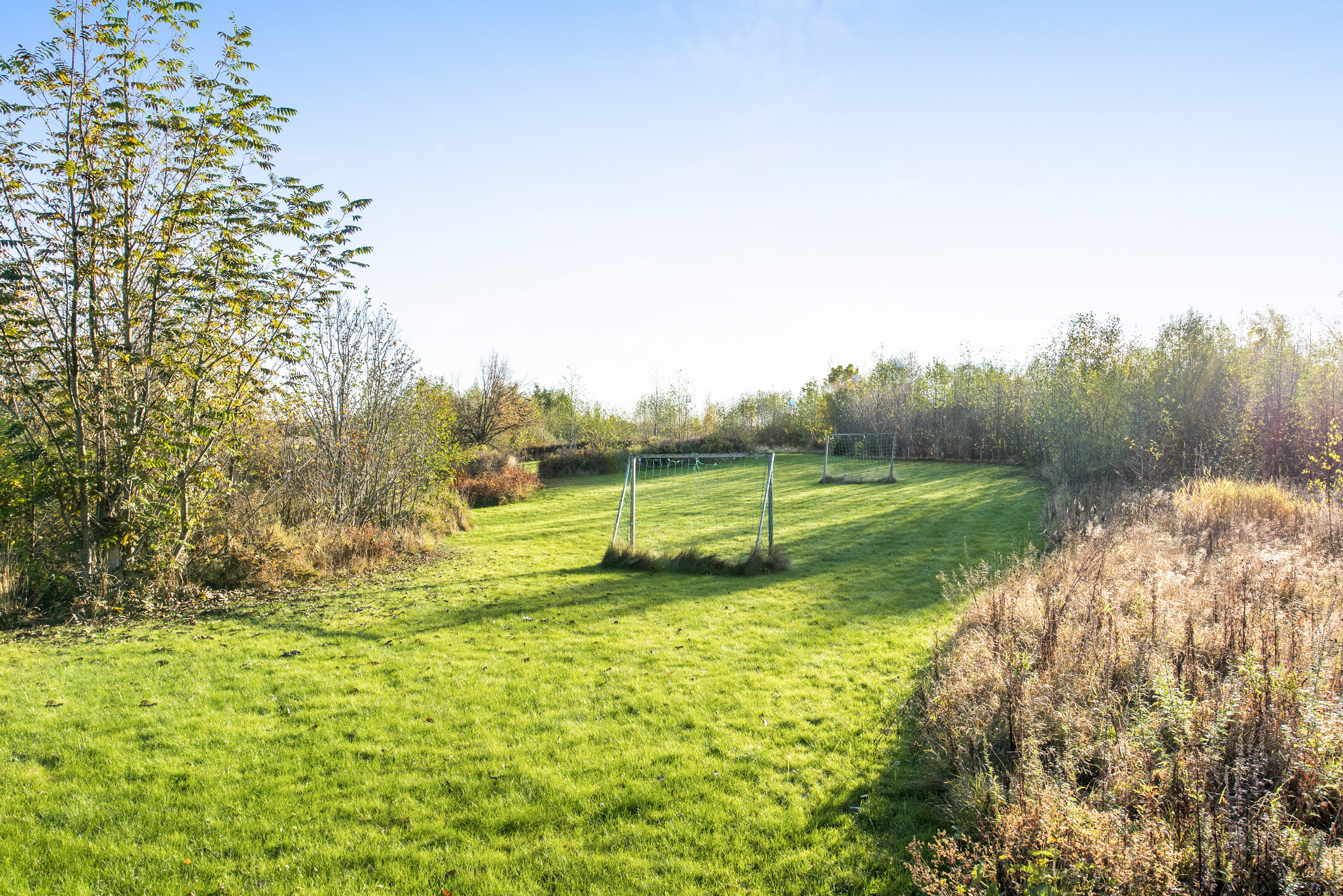 A large green field with trees in the background